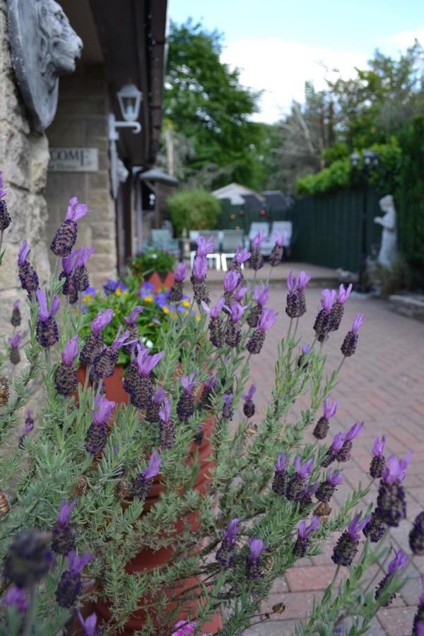 Castle Green Bed And Breakfast Ashbourne  Eksteriør billede